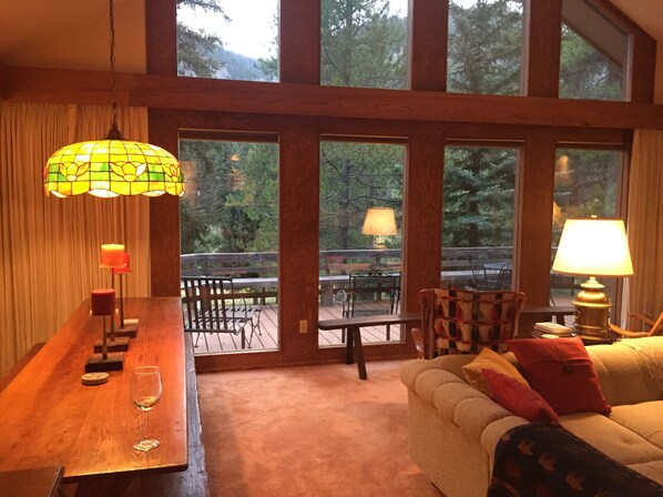 Smart TV, fireplace, table tennis, books