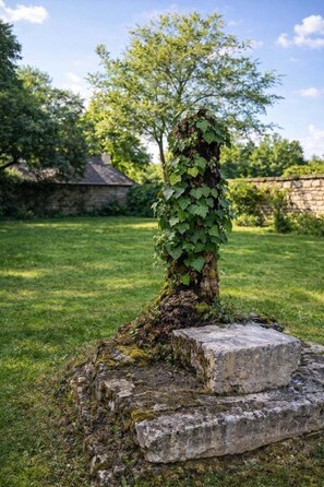 Ein Baum mit Efeu, der seinen Stamm umrankt, vor einer grünen Rasenfläche mit einer Steinmauer und einem Gebäude im Hintergrund.