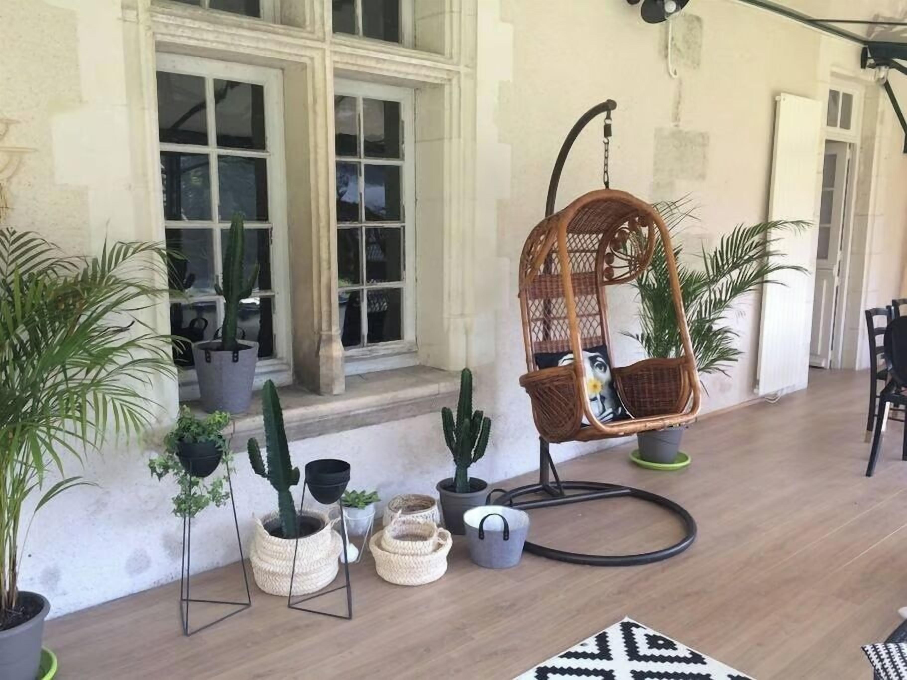 A wicker hanging chair with cushions, potted plants, and a patterned rug on a wooden floor.