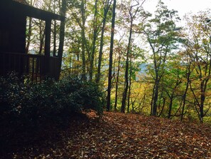 Property grounds - Secluded Mountain Cabin Hike To River (Sevierville)