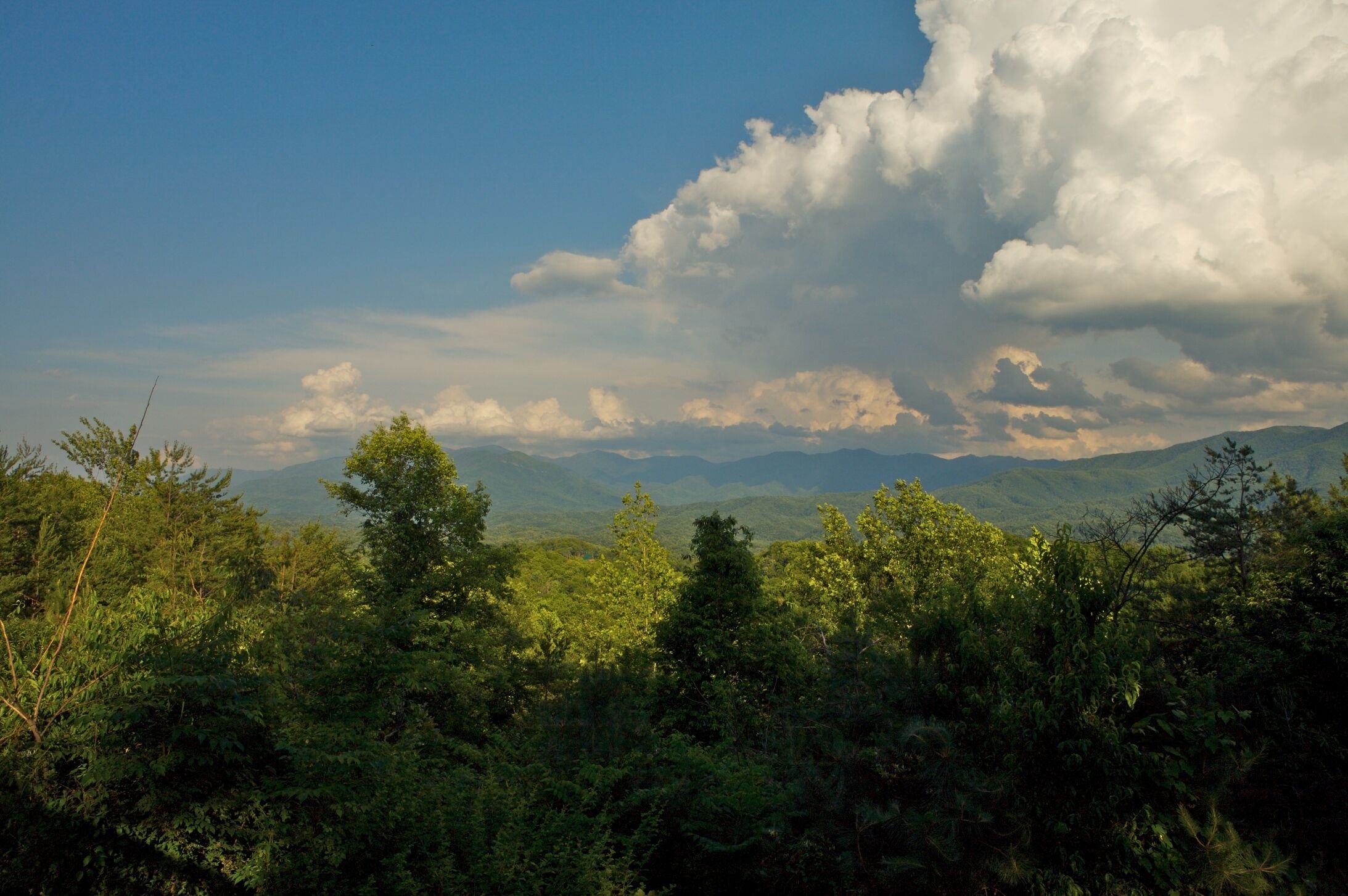 A mountainous landscape with dense forest in the foreground and a clear sky with clouds.