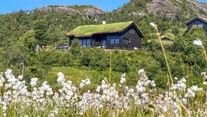 Eksteriør