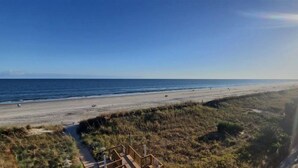 Vista de una playa con cielo despejado, arena dorada y una zona verde con una estructura de madera.