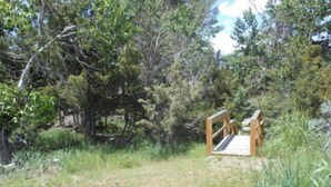 Une terrasse en bois avec une rambarde en métal, entourée d’une végétation luxuriante et d’arbres.