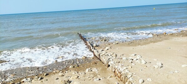 A beach with a wooden jetty extending into the water, scattered rocks, and a clear sky.