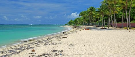 Playa en los alrededores 