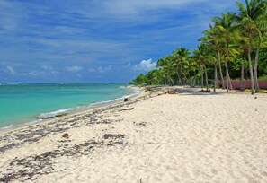A beach with clear turquoise water, sandy shore, and palm trees.