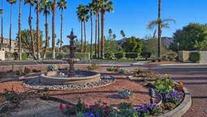 A landscaped garden with a central fountain, surrounded by palm trees and flowering plants.