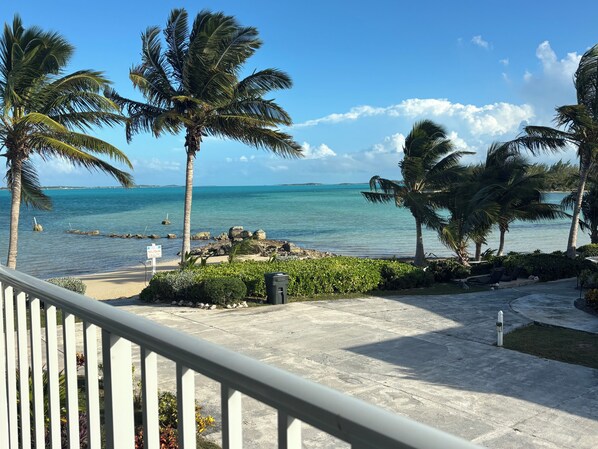 A beachfront view with palm trees, a clear sky, and a calm sea.