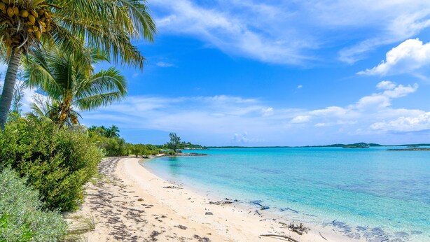 Een strand met helder turquoise water, een zandstrand en palmbomen.