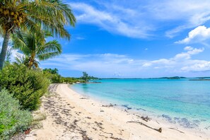 Ein Strand mit klarem türkisblauem Wasser, Sandstrand und Palmen.