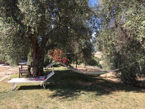 Relax corner at the shade of olive trees