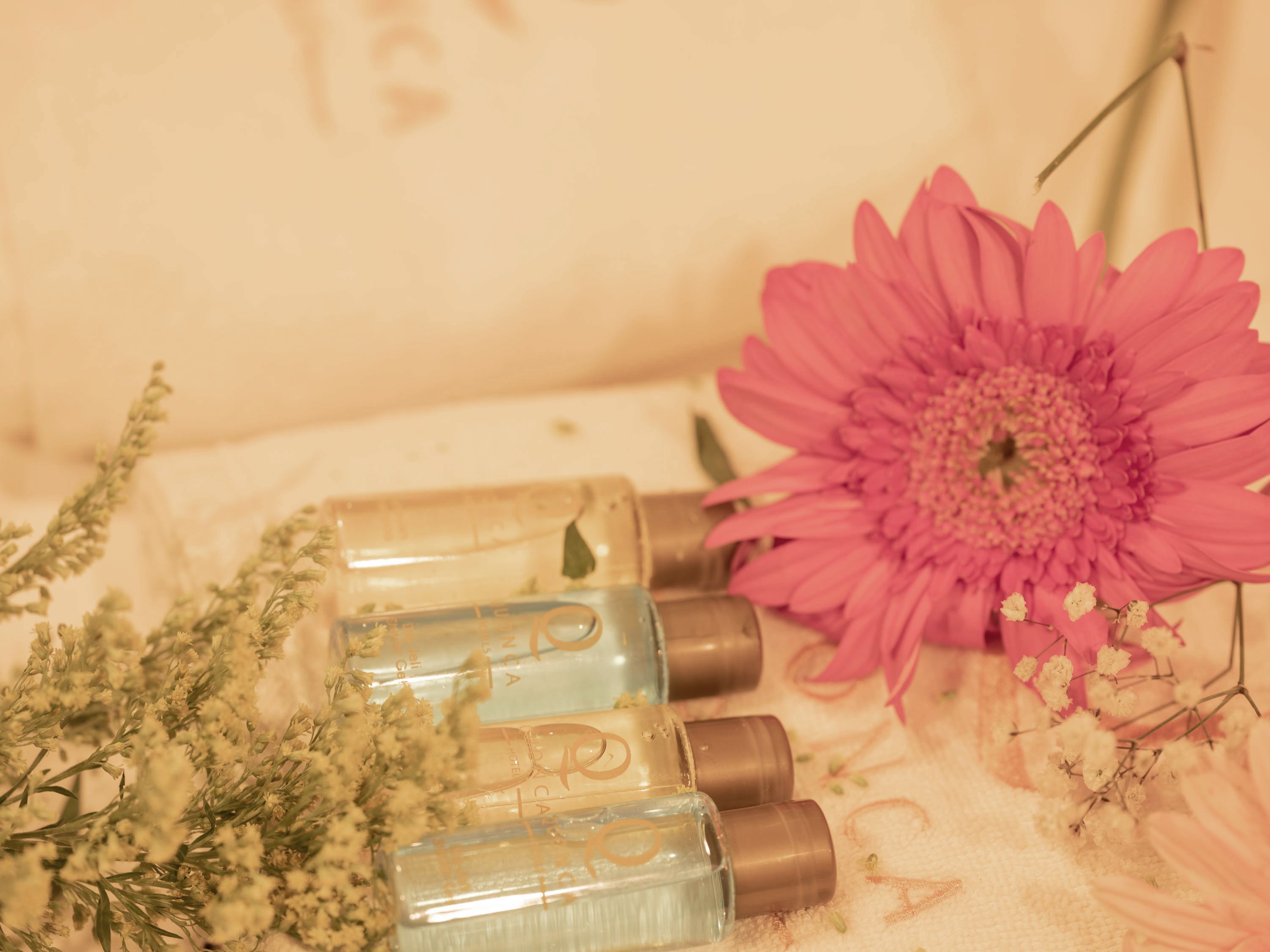 Foto - The Laila Hotel