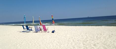 A beach with several beach chairs and umbrellas.