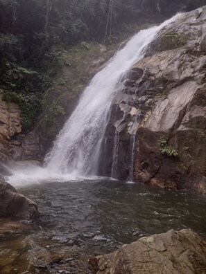 Alberca