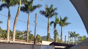 Un espace piscine agrémenté d’un mur en pierre, de palmiers et d’une pergola.