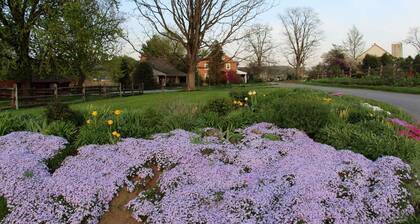 Garden Thyme Farm -sviitti