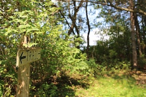 Hikers can follow the trail indicated by this sign into the surrounding forest.