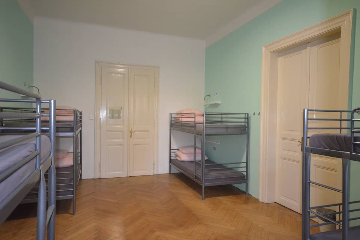 Basic Shared Dormitory, Mixed Dorm, Kitchen, Courtyard View (102)