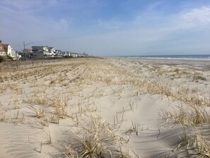 Beach nearby, sun loungers
