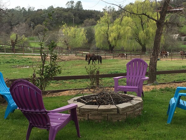 Enceinte de l’hébergement