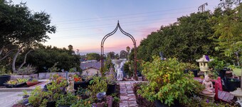 STOR STUDIO I PINOLE!