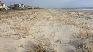 Nær stranden, solsenger og parasoller