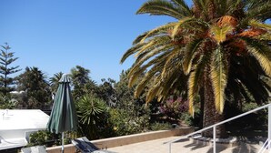 Eine Dachterrasse mit zwei Lounge-Stühlen, einem Sonnenschirm und einer Palme.