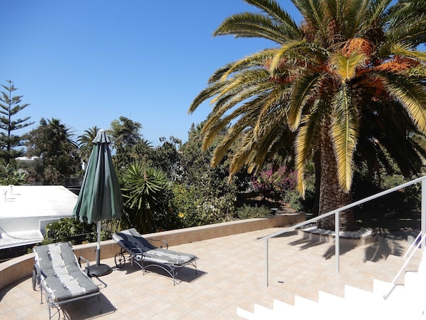 A rooftop terrace with two lounge chairs, a covered umbrella, and a palm tree.