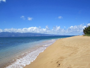 Golden sandy beaches and sparkling ocean with a great cabana with full kitchen