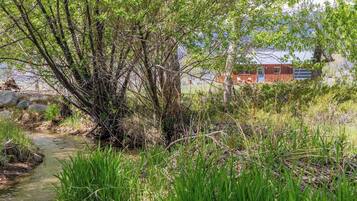 Àrea exterior de l'allotjament