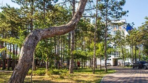 Property grounds - Park Hotel Berezka (Kobleve)