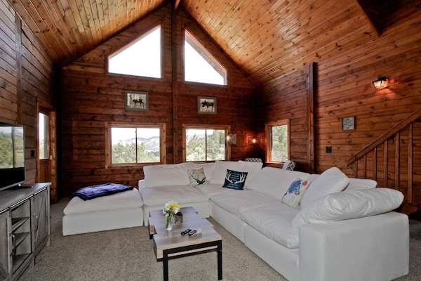 Tv, pejs, bordfodbold, bordtennisbord