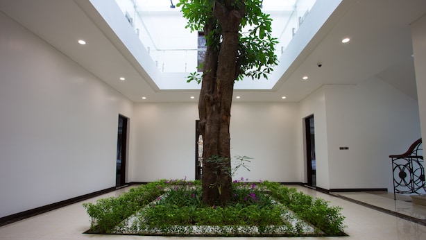 Ein geräumiges Atrium mit einem zentralen Baum, umgeben von viel Grün, hohen Decken und einem Oberlicht.