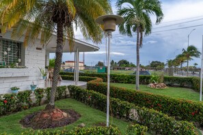 A well-maintained garden with a palm tree, neatly trimmed hedges, and a street lamp. - Casa Babi (Cienfuegos)