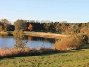 Unclassified image, 5 of 44, button