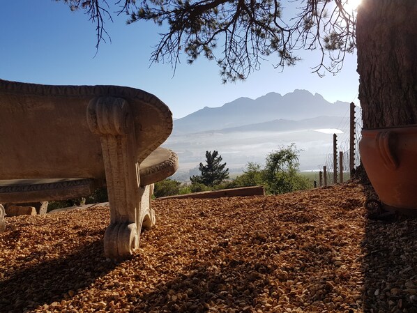 Property grounds - Cloud 9 ......a bit of heaven away from home (Stellenbosch)