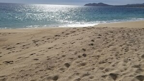 근처 해변