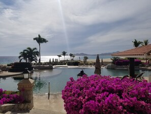 Poolside bar - 1 Minute to the Sand (San José del Cabo)