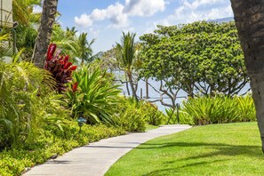 Un sentier bordé d’une végétation luxuriante et de palmiers, qui mène à un plan d’eau.