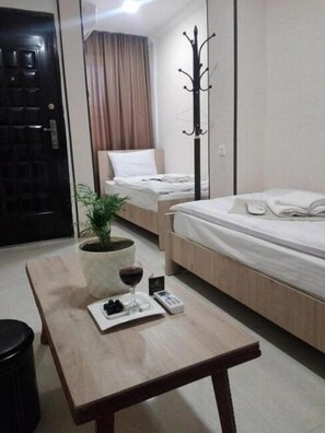Economy Twin Room | Blackout drapes, soundproofing, iron/ironing board, rollaway beds - Hotel Petre Palace (Tbilisi)