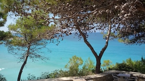 Vista costera con mar azul cristalino, árboles con piñones y una pared de piedra con asientos al aire libre.