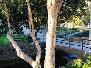 Property grounds - Apartment Summer Shadow with private terrace (Mlini)