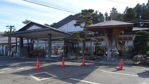 Un bâtiment doté d’une entrée abritée, d’un grand arbre et de cônes de signalisation rouges.