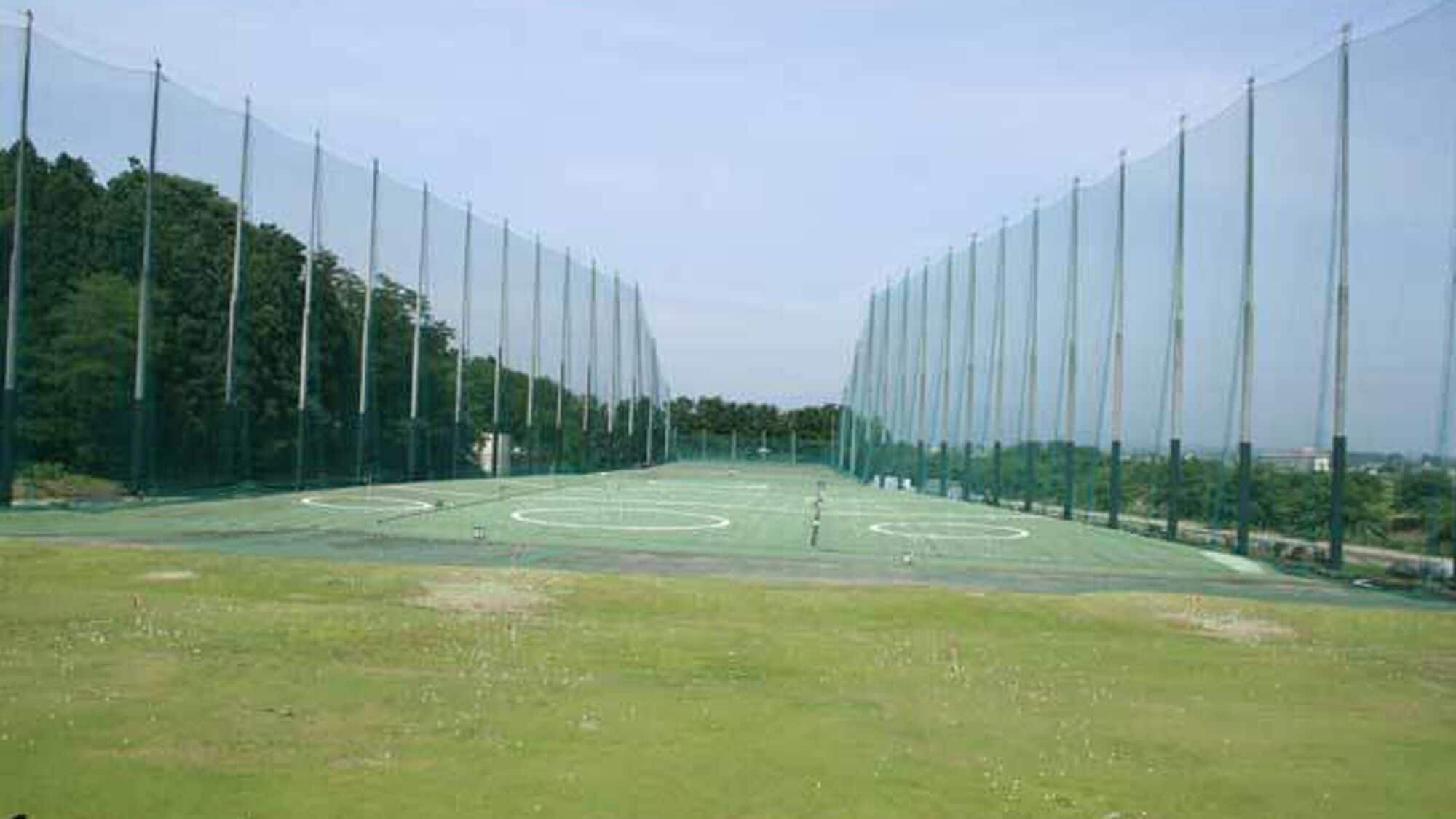 A sports field with multiple courts, surrounded by tall netting, and trees in the background.