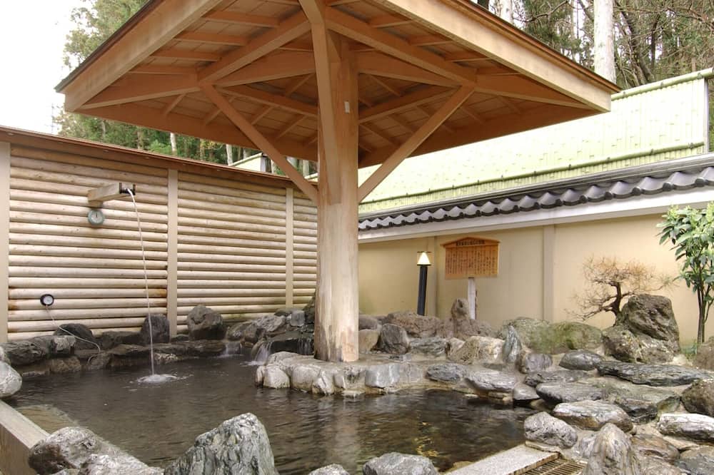 Ryokan Narita Onsen