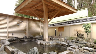 Ryokan Narita Onsen