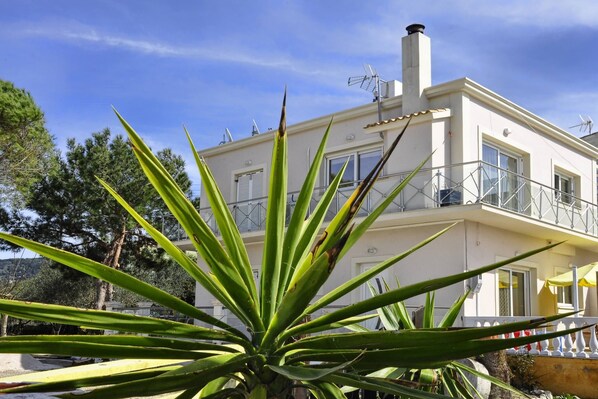 Detalle exterior