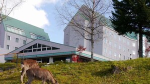 A building with a green roof and a large tree in front. - Biei Shirogane Onsen Hotel Park Hills (Biei)