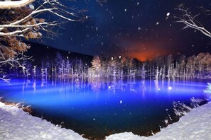 Unclassified image, 4 of 44, button - Biei Shirogane Onsen Hotel Park Hills (Biei)
